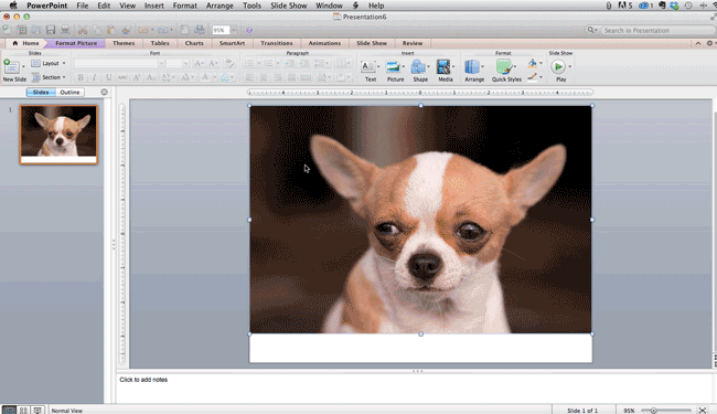 在powerpoint中裁剪形状特征