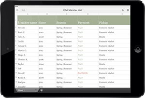 offline-access-apple-device