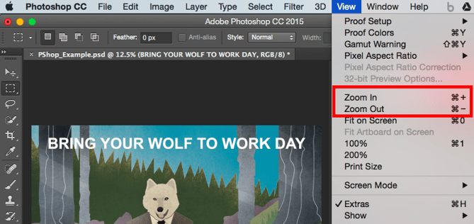 photoshop-zoom-tool.png photoshop-zoom-tool.png