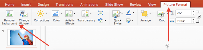 图片格式选项卡删除PowerPoint幻灯片中的照片背景