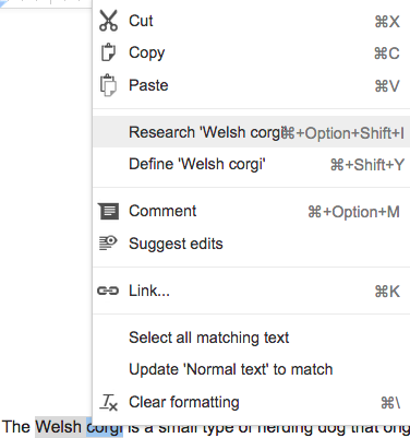 Google Doc中的研究工具