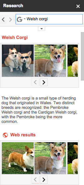 Google Doc中Welsch Corgis的研究结果