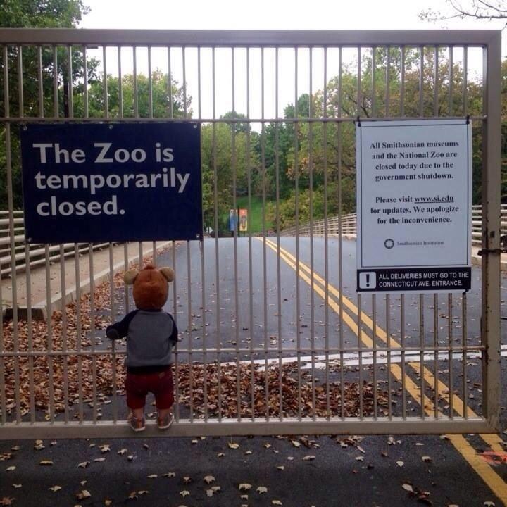 1 zooisclosed