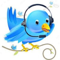 Twitter客户服务鸟