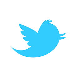 Twitter newbird盒装蓝色白头特