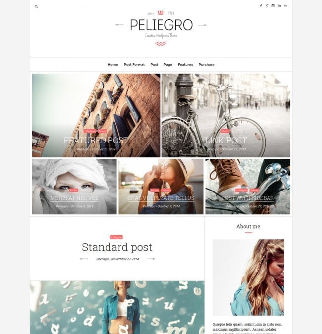peliegro-clean-personal-wordpress-blog-theme