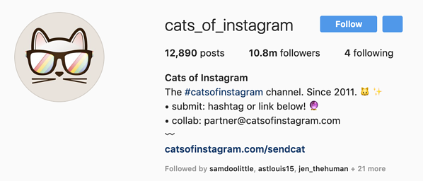 猫的Instagram头像图片