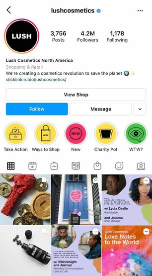 LUSH Instagram个人媒体内容营销示例