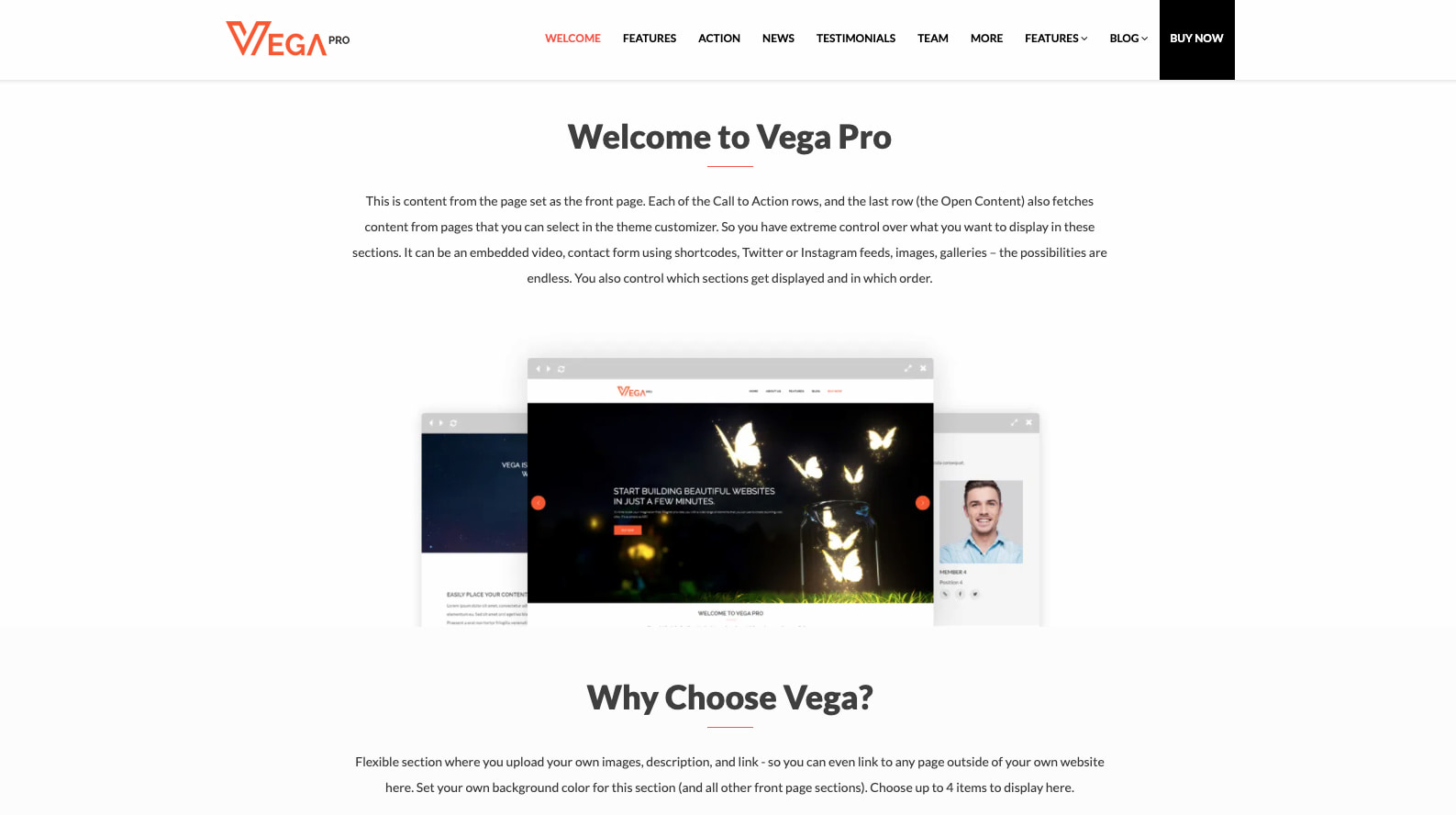 Vega Pro的一页WordPress主题演示