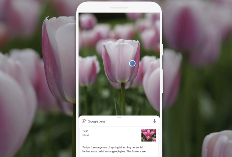 Here's What Happened When We Put Google Lens to the Test